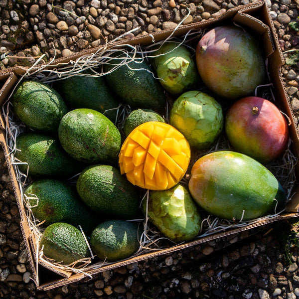 Avocado Chirimoya Mango Box
