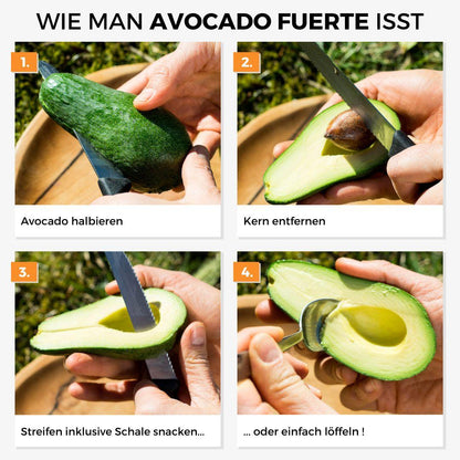 Avocado Fuerte