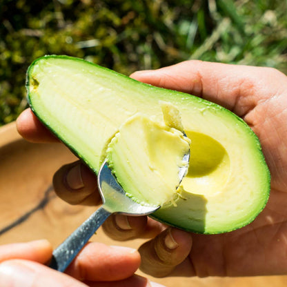 Avocado Fuerte
