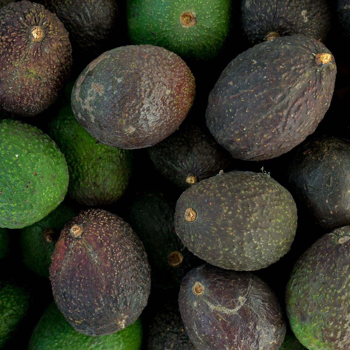 Avocado Hass
