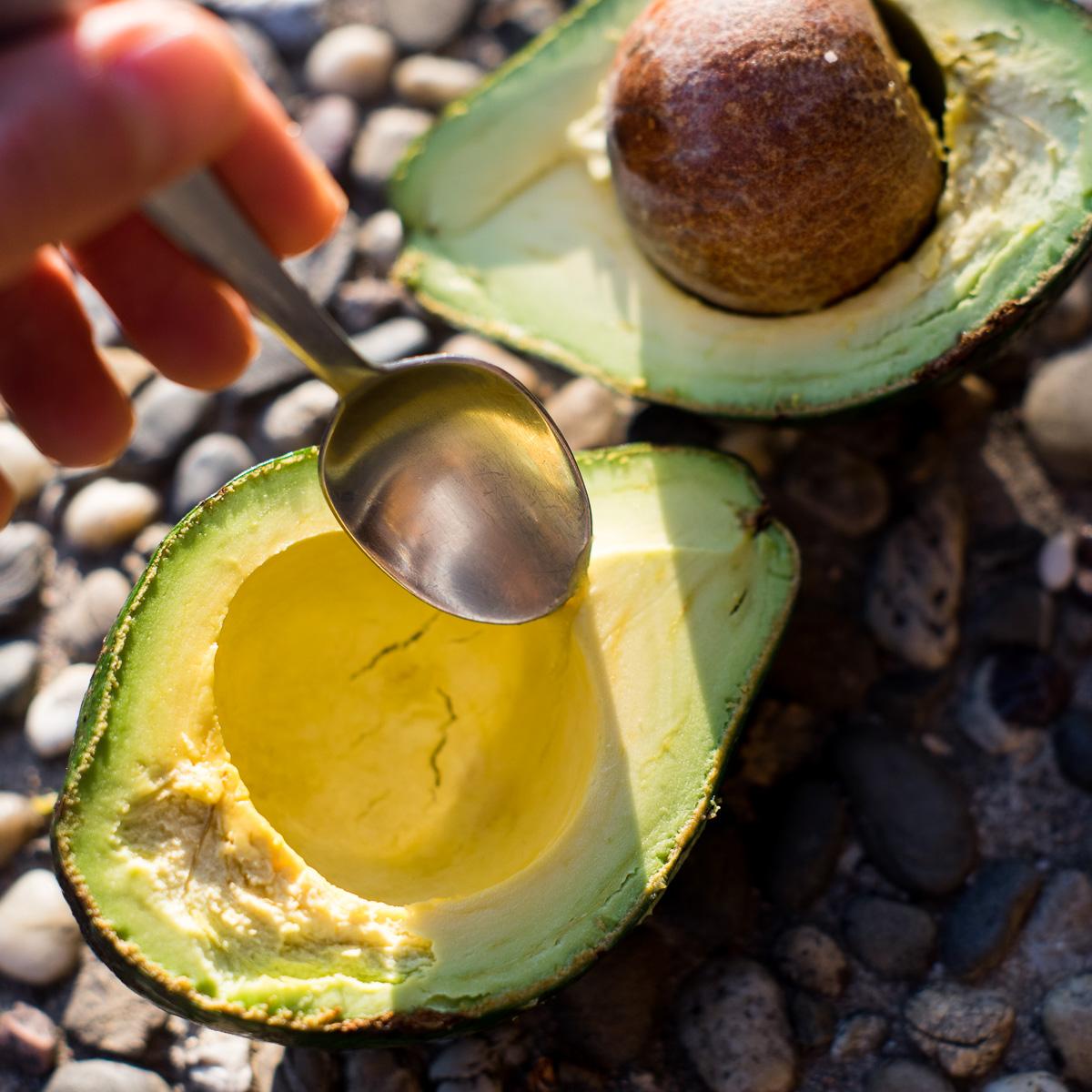Avocado Lula