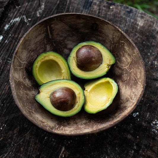 Avocado Wild from Ricardo
