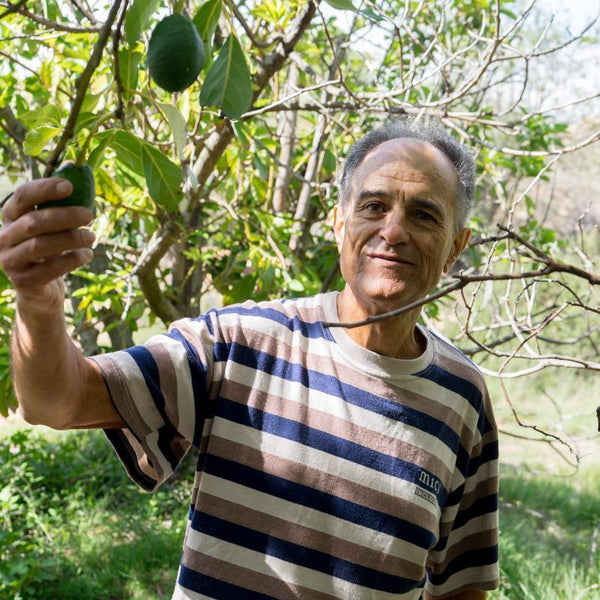 Avocat de Ricardo