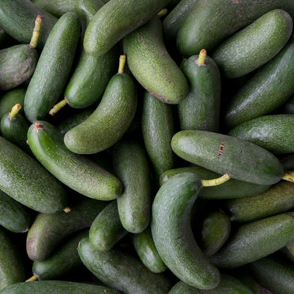 Avocado Cocktail Fuerte