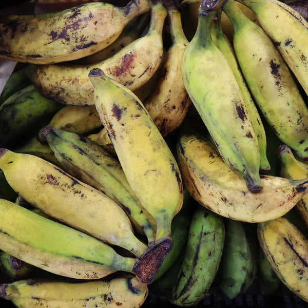 Banana Fig