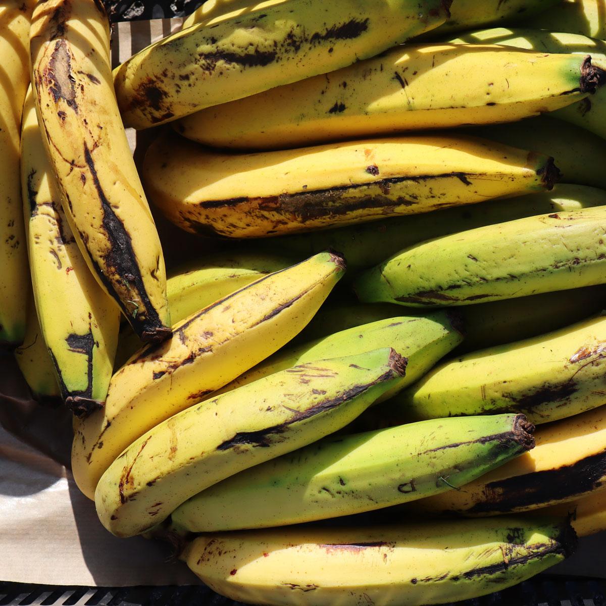 Banane Gros-Michel getrocknet soft ganz