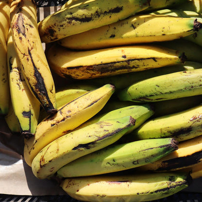 Banane Gros-Michel getrocknet soft ganz