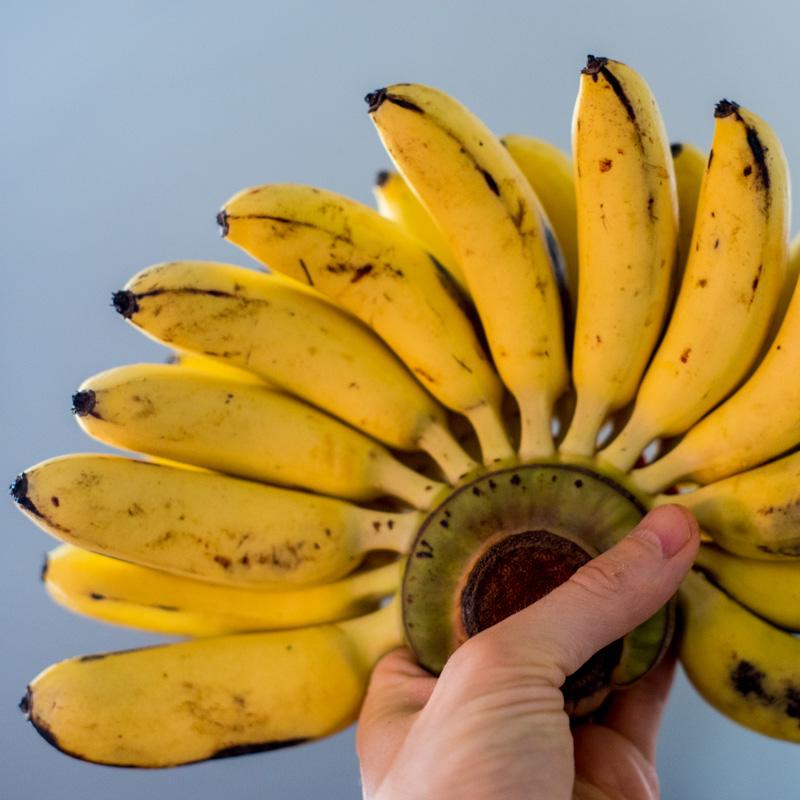 Banana Khai