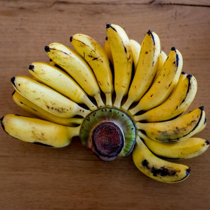 Banana Khai