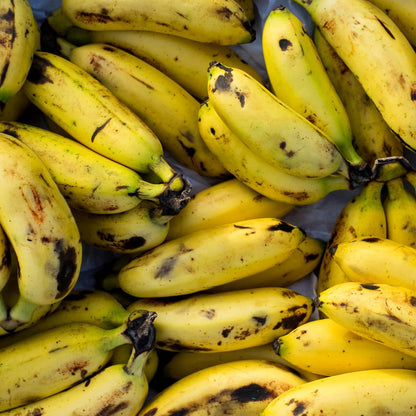 Banana Lady Finger
