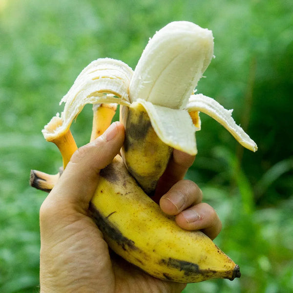 Banana Namwa