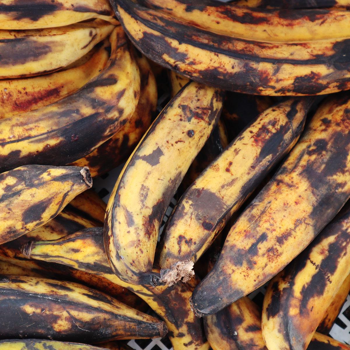 Banane Plantan