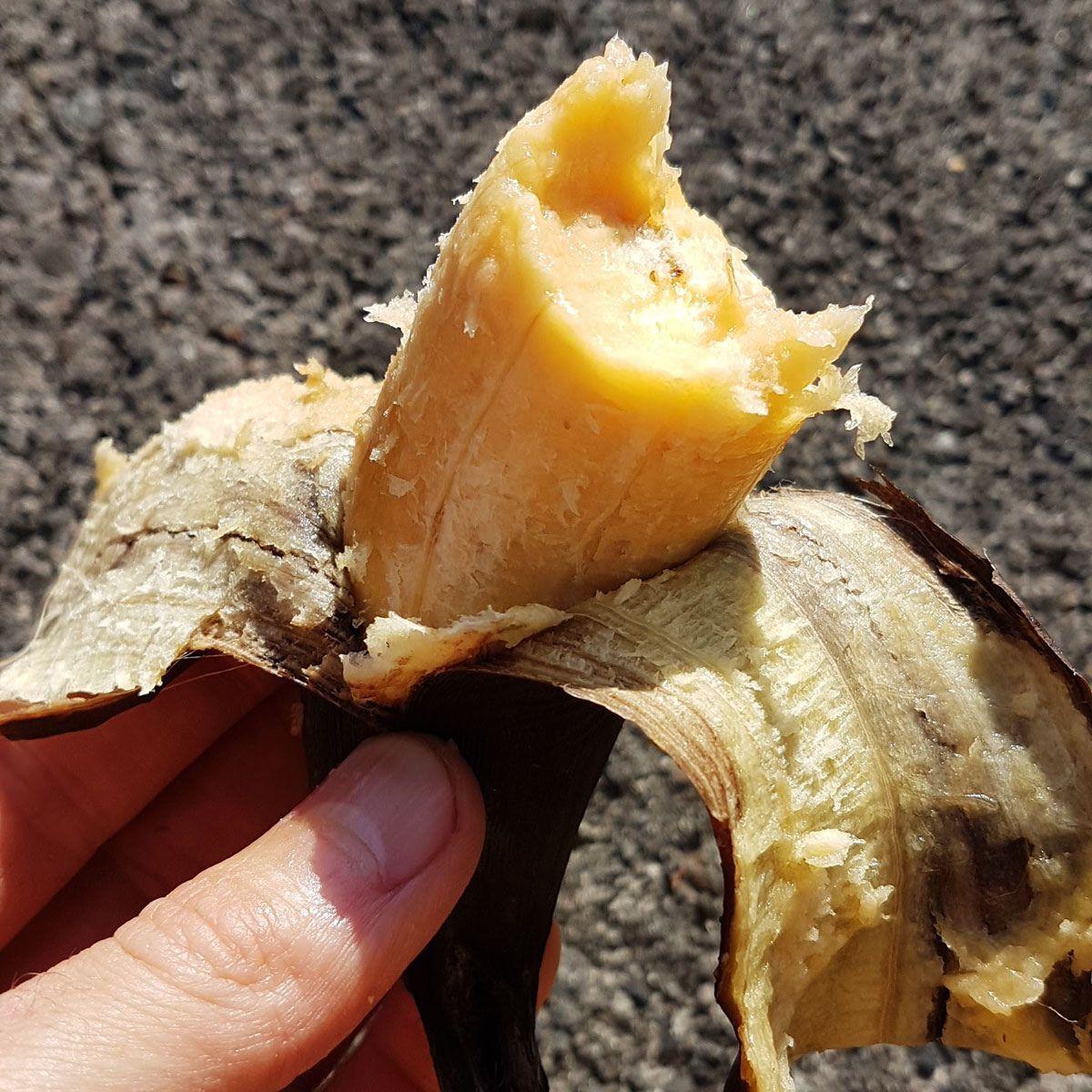 Banane Plantan