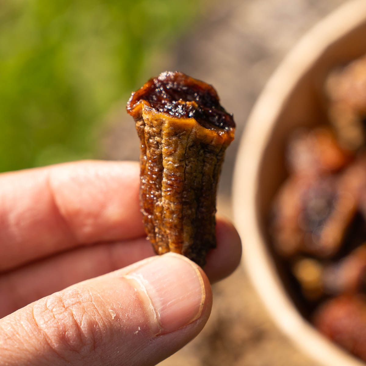 Banana Gros-Michel dried soft in pieces