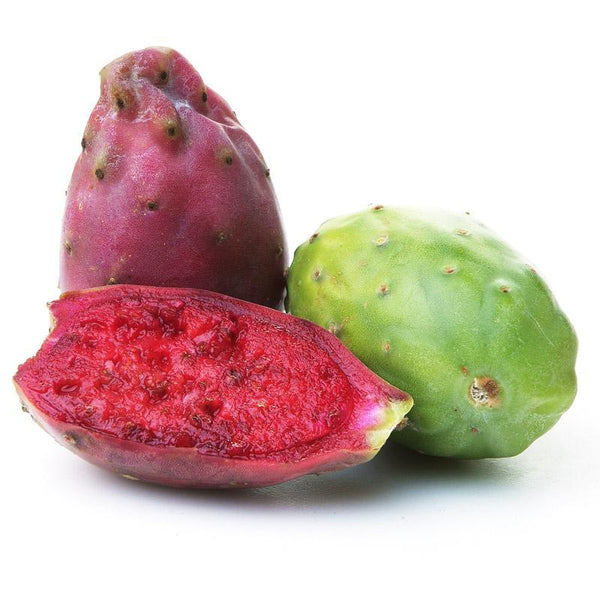 Barbary Fig (spikeless)