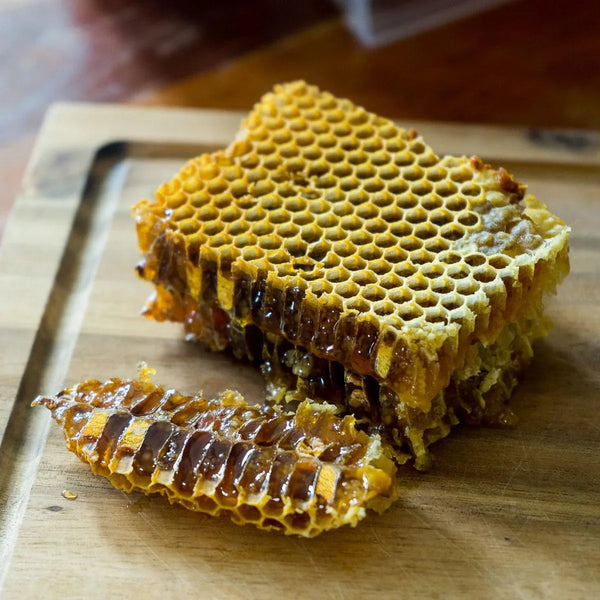 Miel en rayon Pain d'abeille (Miel & Pollen)