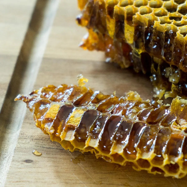 Miel en rayon Pain d'abeille (Miel & Pollen)