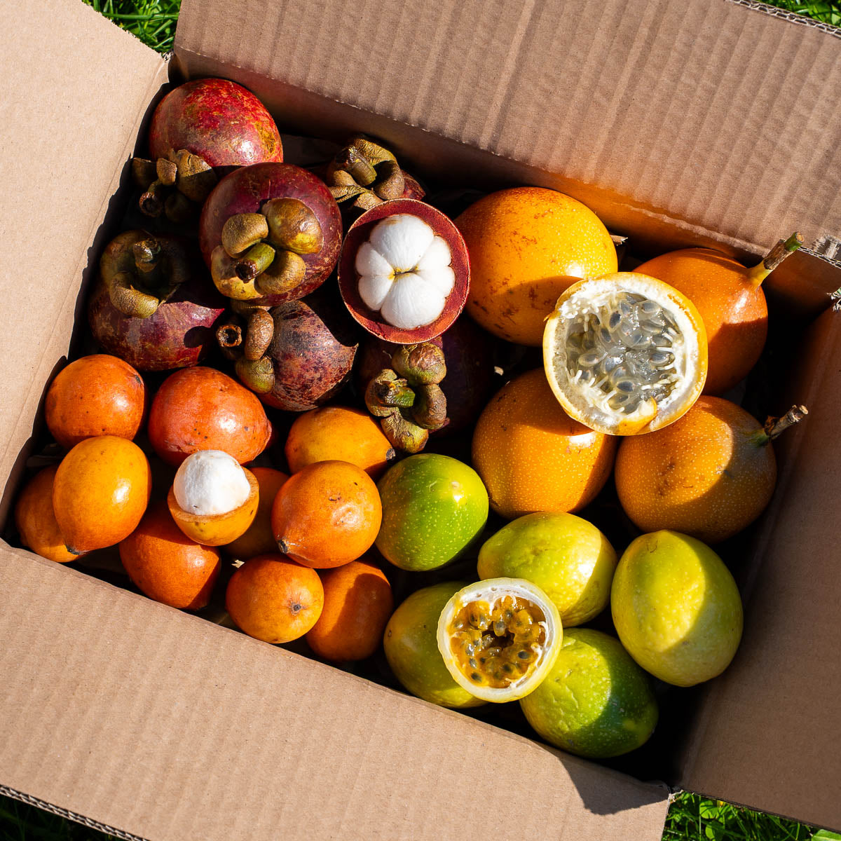 Box 4 kleine exquisite exotische Früchte