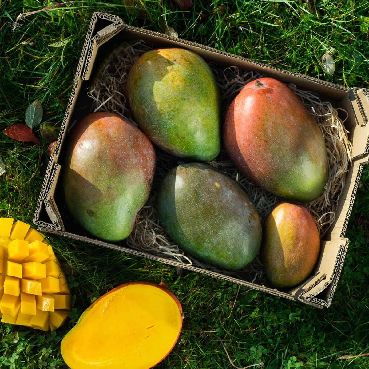 Mango Keitt