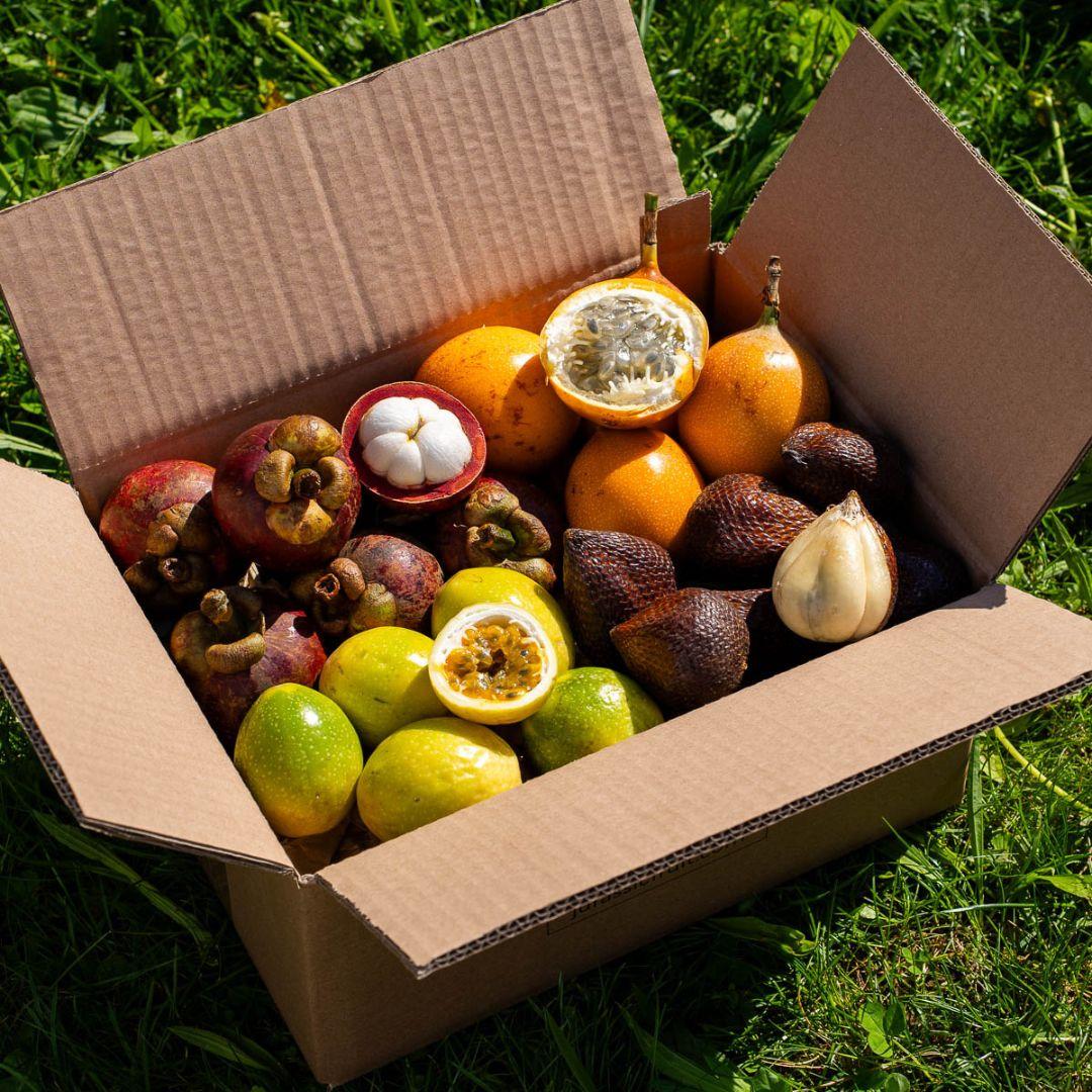 Box 4 small exquisite exotic fruits