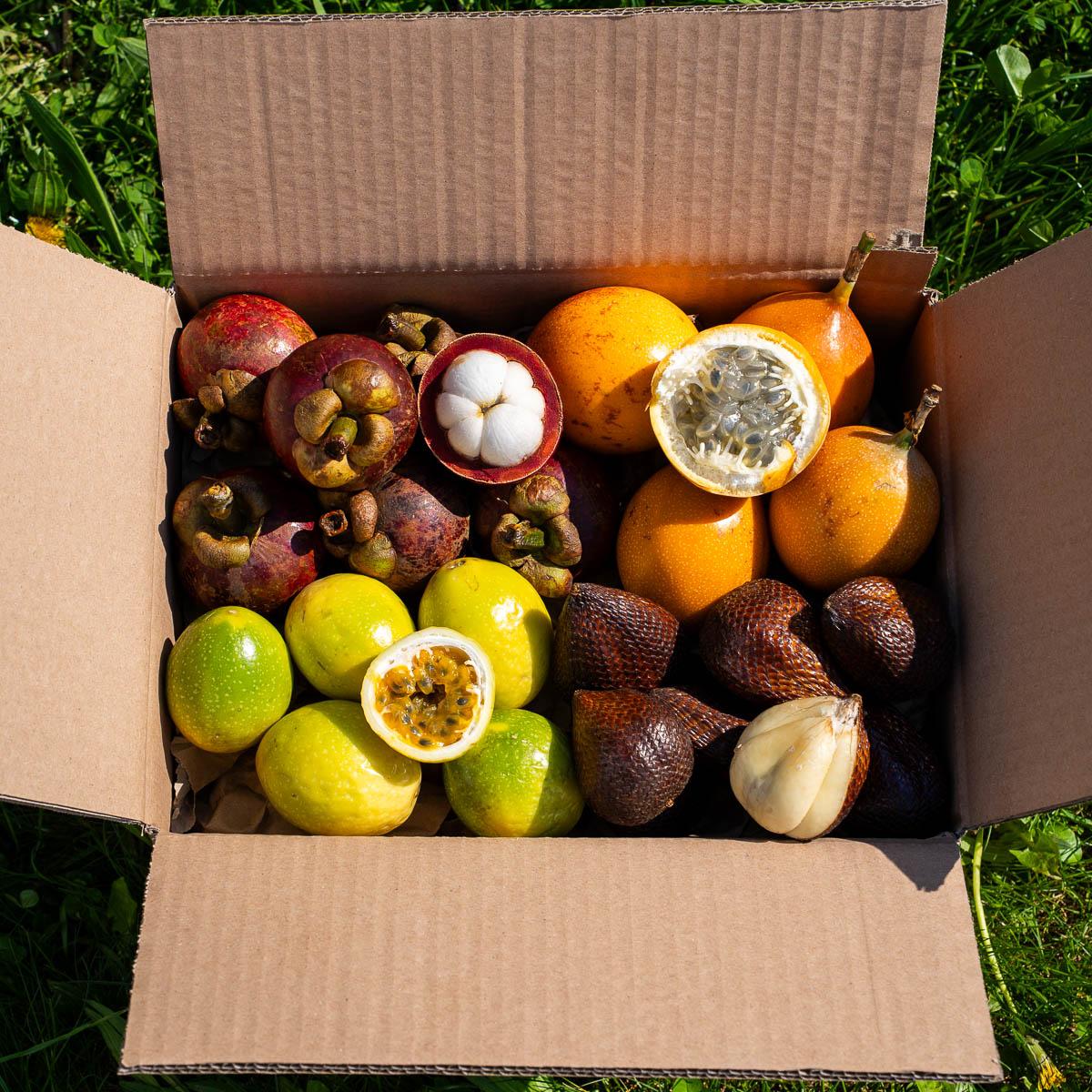 Box 4 small exquisite exotic fruits