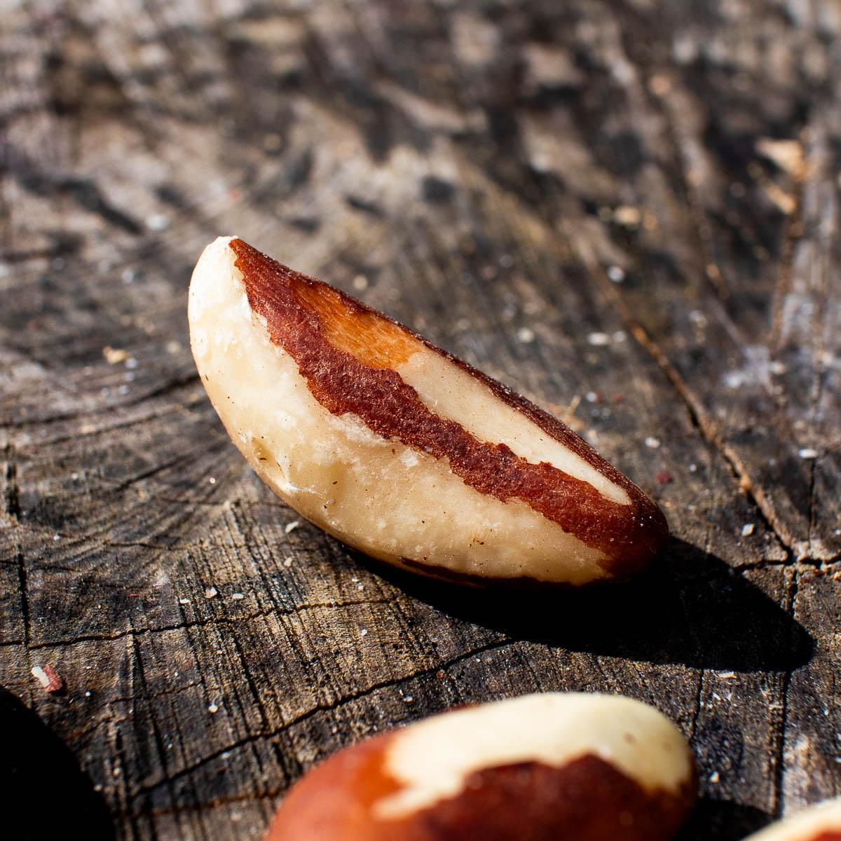 Brazil nut