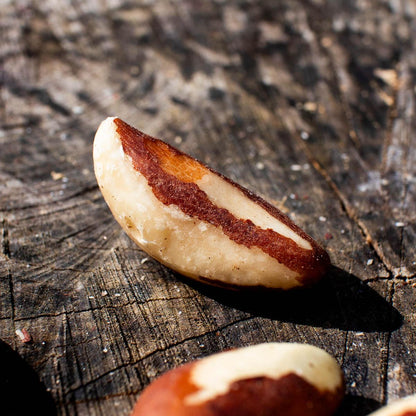 Brazil nut