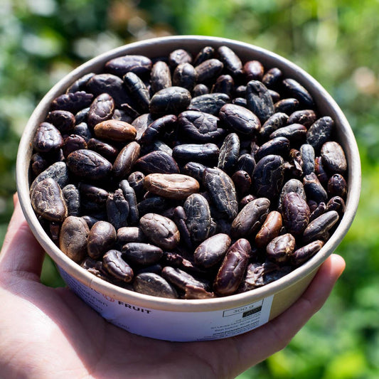 Cacao Beans (Cocoa) peeled dried