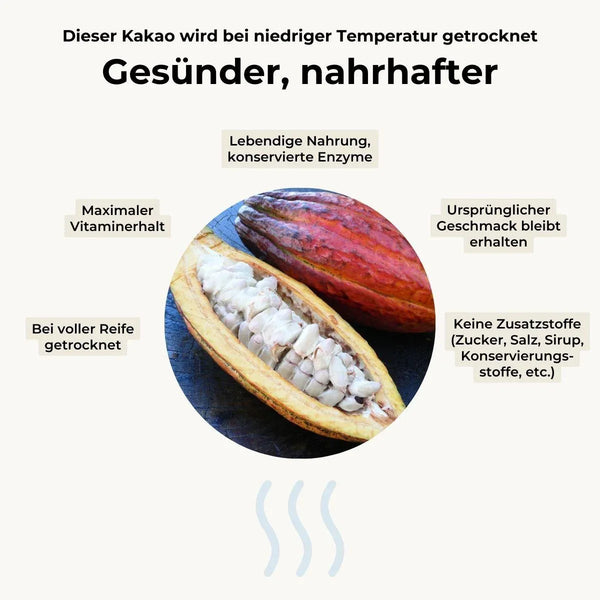Cacao Beans (Cocoa) peeled dried