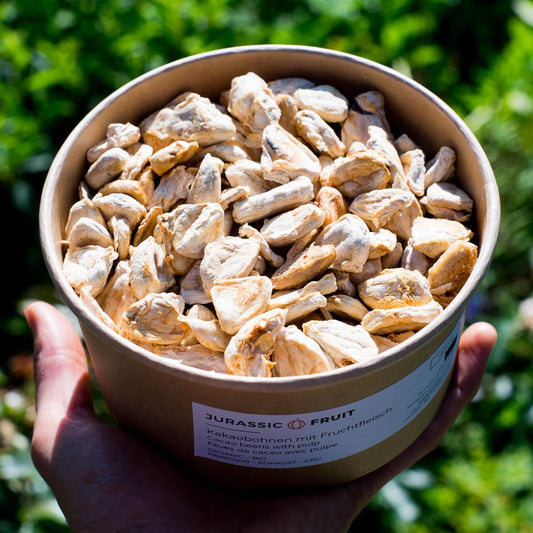 Cacao Beans (Cocoa) with pulp dried