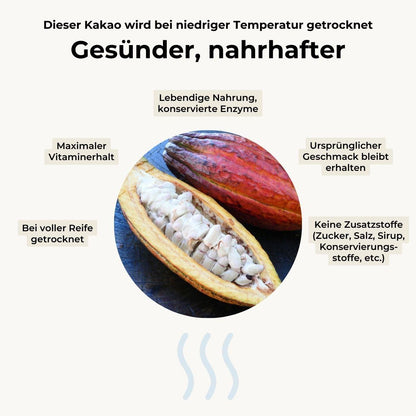 Cacao Beans (Cocoa) with pulp dried