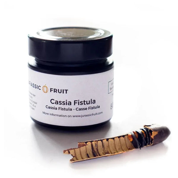Cassia Fistula peeled