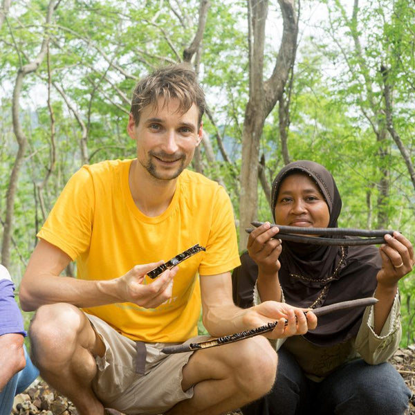 Casse Fistula bâton