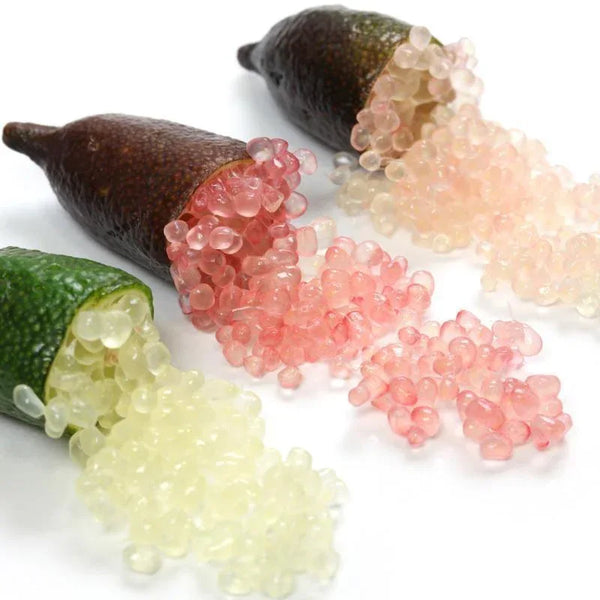 Caviar lime (Citrus australasica)