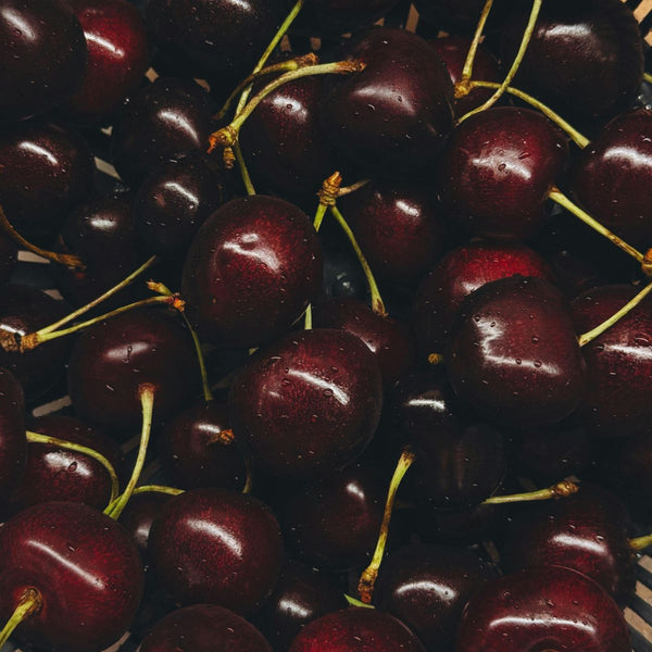 Cerise noire Sierra Nevada