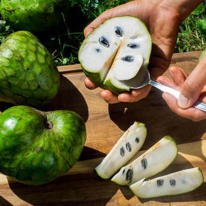 Cherimoya Extra aus Peru