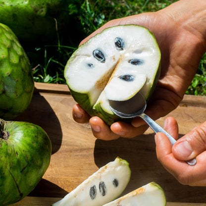 Cherimoya Extra aus Peru
