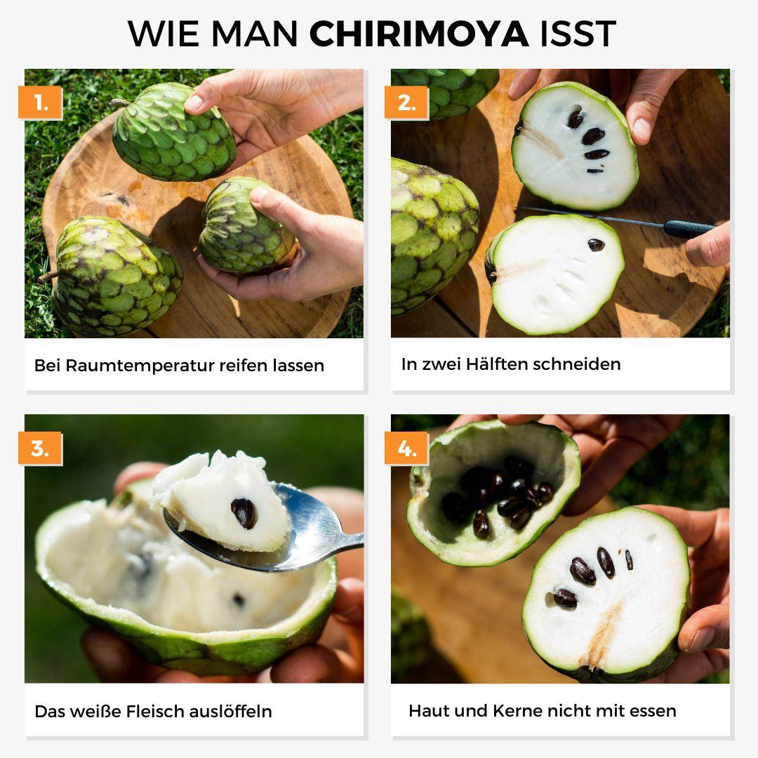 Chirimoya