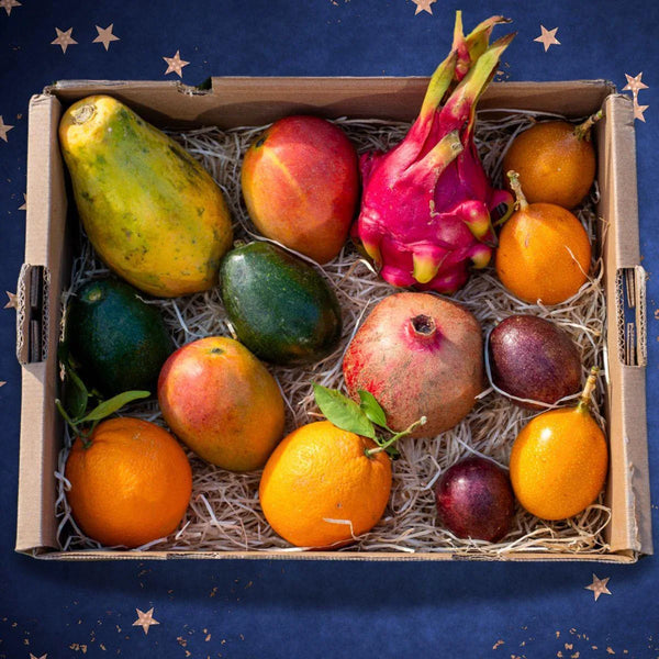 Christmas Exotic Box