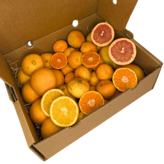 Citrus mixed varieties