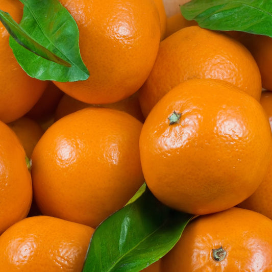 Clementine Clemenvilla