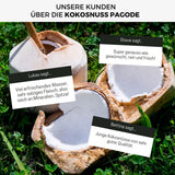 Junge Frische Trink Kokosnuss Pagode