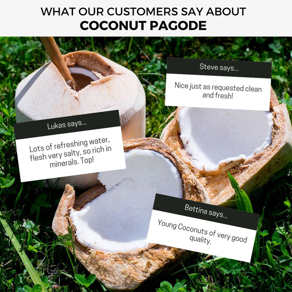 Young Fresh Coconut Pagode