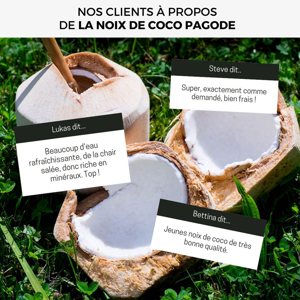 Noix de coco jeune fraîche Pagode