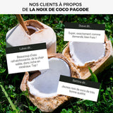 Noix de coco jeune fraîche Pagode