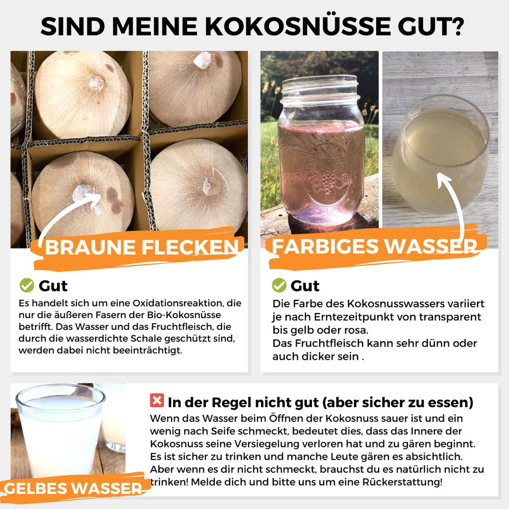 Junge Frische Trink Kokosnuss Pagode