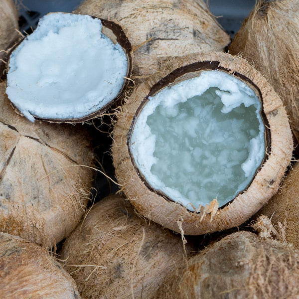 Noix de coco Kopyor