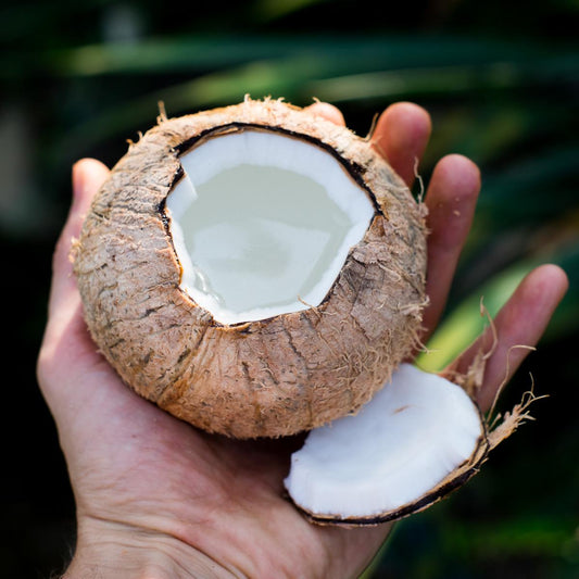 Coconut ripe
