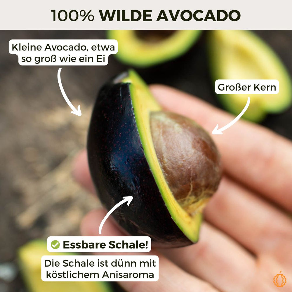 Avocado von Ricardo