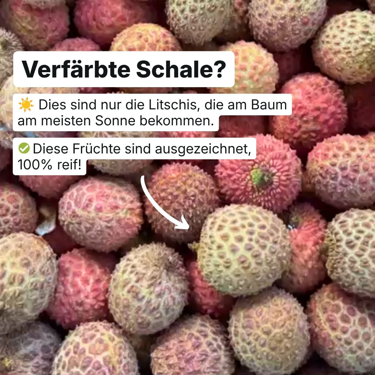 Kaufe Litschi (Lychee)